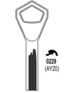 AY20
