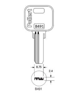 B491
