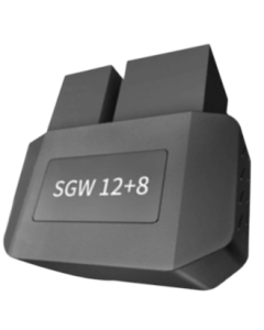 LNS-SGW