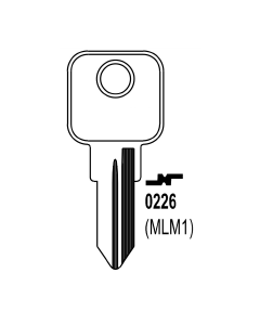 MLM1